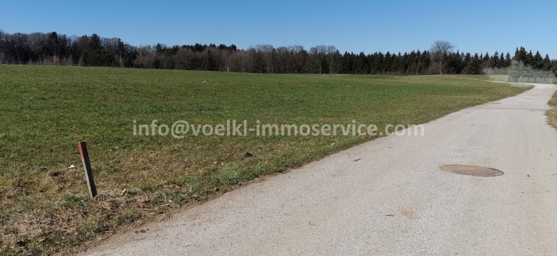 Perwang am Grabensee Traumhaftes Baugrundstück in sonniger Ruhelage Grundstück kaufen