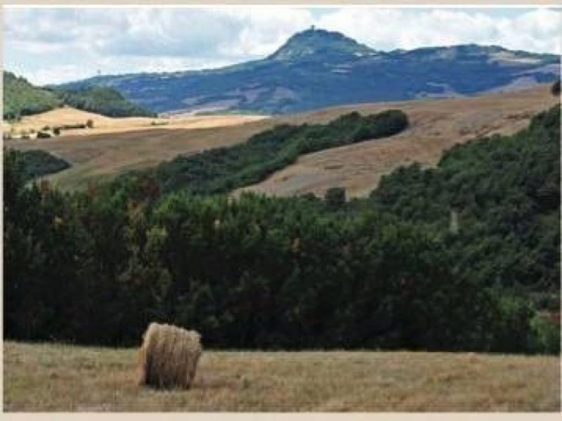 Val di Chiana TENUTA tra la Val di Chiana e la val d'Orcia Gewerbe kaufen