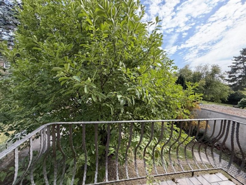 Aachen Freistehendes Zwei- bis Dreifamilienhaus mit großem Garten in Aachen-Brand Haus kaufen