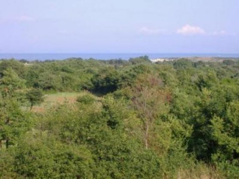 Pula Pula, Medulin, unschlagbarer Preis fur ein Hauschen Haus kaufen