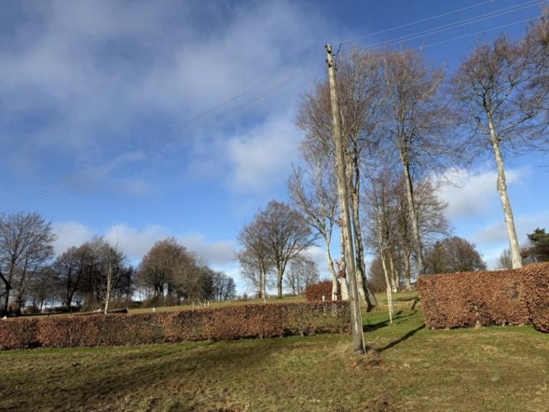 Monschau Gepflegtes Ein- oder Zweifamilienhaus mit großer Werkstatt und weitläufigem Grundstück Haus kaufen