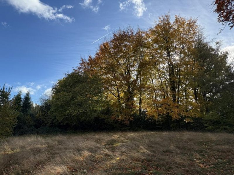 Roetgen Attraktives Baugrundstück in bester Lage von Roetgen – ca. 780 m² mit schöner Aussicht ins Grüne Grundstück kaufen