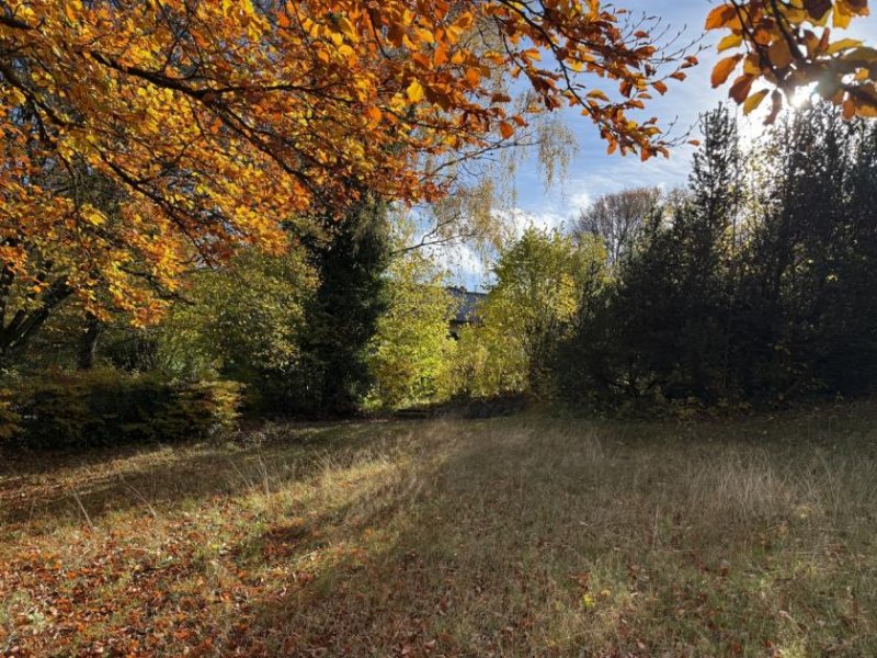 Roetgen Attraktives Baugrundstück in bester Lage von Roetgen – ca. 780 m² mit schöner Aussicht ins Grüne Grundstück kaufen