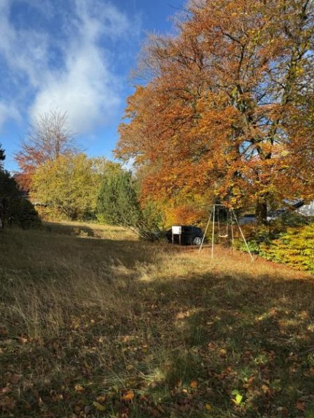 Roetgen Baugrundstück in Roetgen: ca. 1560 m² mit schöner Aussicht ins Grüne Grundstück kaufen