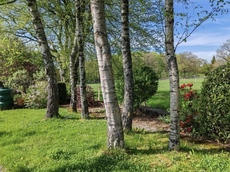 Roetgen Träumen Sie von einem Ein-, Zwei- oder Dreifamilienhaus in bester Lage von Roetgen? Haus kaufen