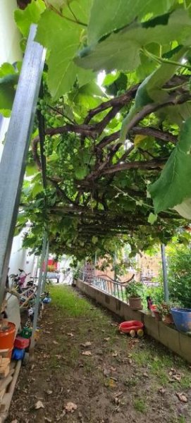 Schalchen/Mattighofen Mehrfamilienhaus in ruhiger Lage bei Mattighofen Haus kaufen