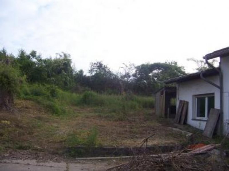 Gilrath Haus auf grosser Parcelle zu verkaufen in Gilrath Haus kaufen