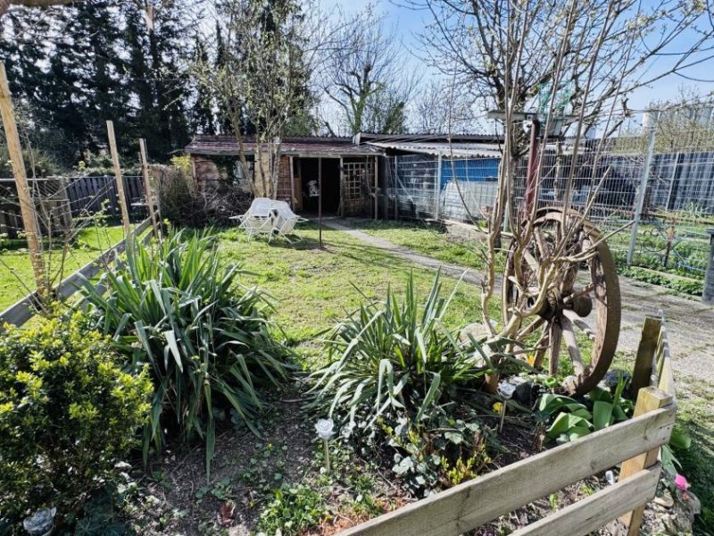Braunau am Inn Reihenhaus mit Garten und Keller in ruhiger Wohnlage Haus kaufen
