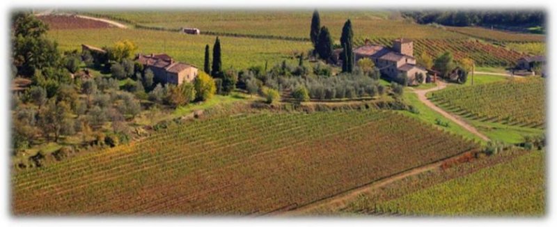 Siena Castello-Borgo fortificato sulle colline del Chianti in provincia di Siena Gewerbe kaufen