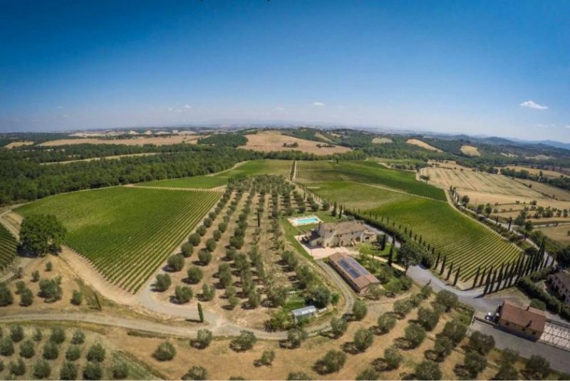 Siena In Toscana, presigiosa azienda vitivinicola - resort con spa, centro benessere, vigneto Gewerbe kaufen