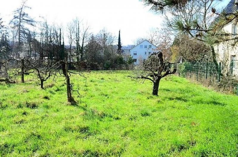 Bonn **Baugrundstück in Bad Godesberg** Grundstück kaufen