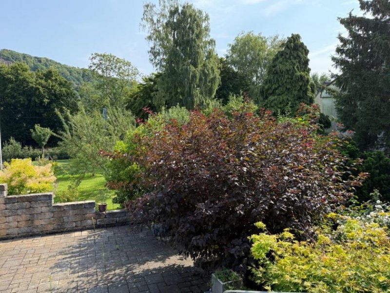 Bonn BONN OBERKASSEL freist. Einfam. Haus mit ca. 200 m² Wfl., 841 m² GrSt. Keller, Garage, Baugrundstück Haus kaufen