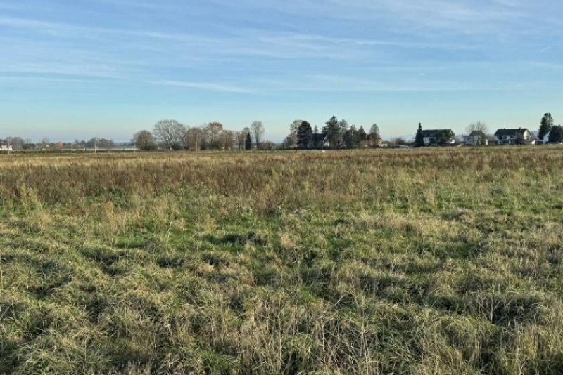 Bornheim (Rhein-Sieg-Kreis) Merten: Baugrundstück für Doppelhaushälfte Grundstück kaufen