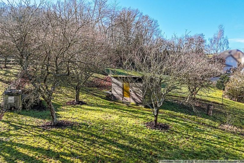Herschbroich Eifler Bauernhaus mit Scheune und großem Garten in Herschbroich bei Adenau Haus kaufen