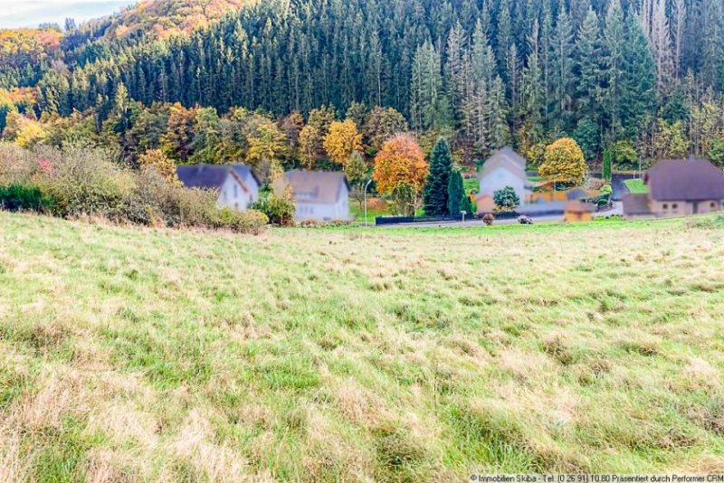 Dümpelfeld 2 Baugrundstücke zur Auswahl: Südhanglage ohne Durchgangsverkehr mit Blick ins Grüne Grundstück kaufen