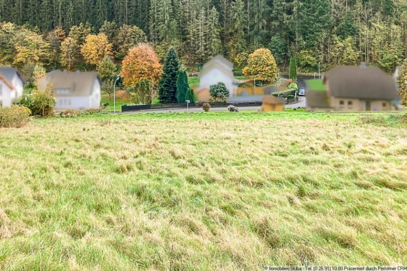 Dümpelfeld 2 Baugrundstücke zur Auswahl: Südhanglage ohne Durchgangsverkehr mit Blick ins Grüne Grundstück kaufen
