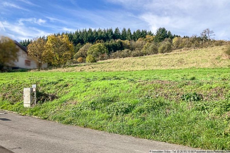 Dümpelfeld 2 Baugrundstücke zur Auswahl: Südhanglage ohne Durchgangsverkehr mit Blick ins Grüne Grundstück kaufen