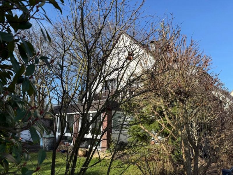 St. Augustin SANKT AUGUSTIN HANGELAR, freist. Einfam.Haus ca. 135 m² Wfl. 6 Zi., 379 m² GrSt., Vollkeller, Garage Haus kaufen