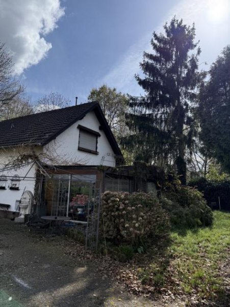 Troisdorf TROISDORF KRIEGSDORF freist. Einfam. Haus mit ca. 110 m² Wfl., Wintergarten, Garage, 659 m² GrSt. Haus kaufen
