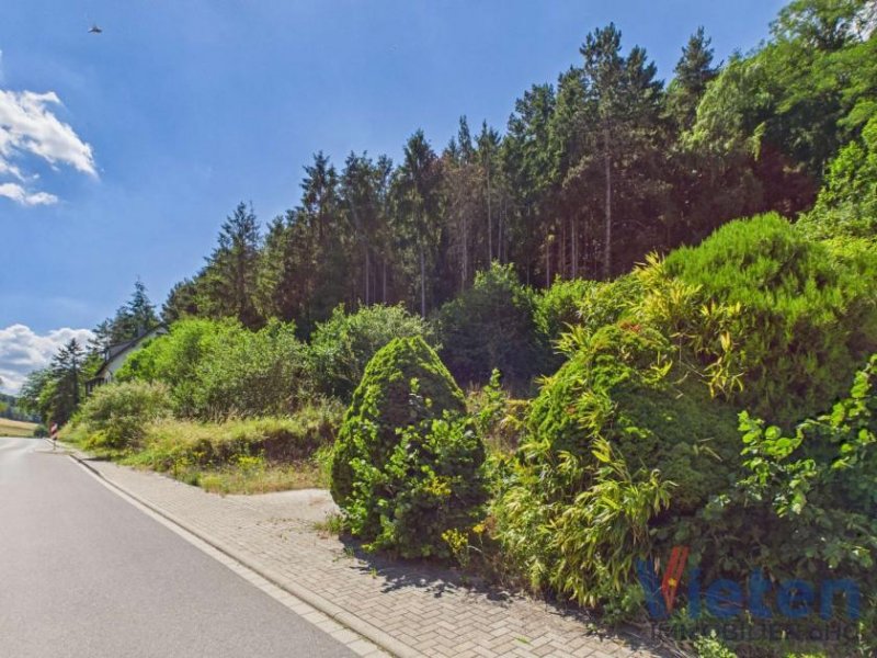 Mechernich Bauland mit eigenem Wald – ein Grundstück mit besonderem Charakter Grundstück kaufen