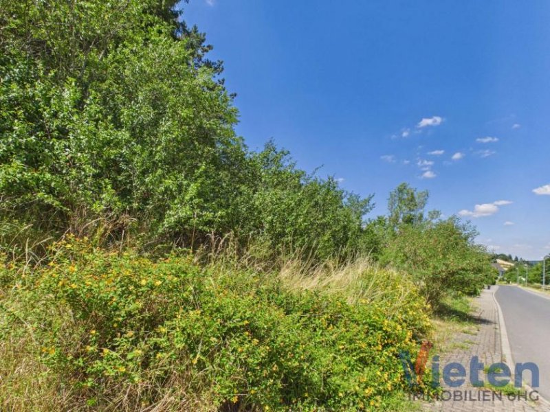 Mechernich Bauland mit eigenem Wald – ein Grundstück mit besonderem Charakter Grundstück kaufen