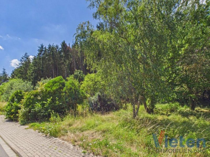 Mechernich Bauland mit eigenem Wald – ein Grundstück mit besonderem Charakter Grundstück kaufen