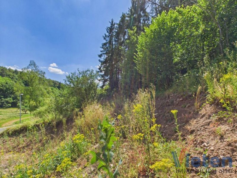 Mechernich Bauland mit eigenem Wald – ein Grundstück mit besonderem Charakter Grundstück kaufen