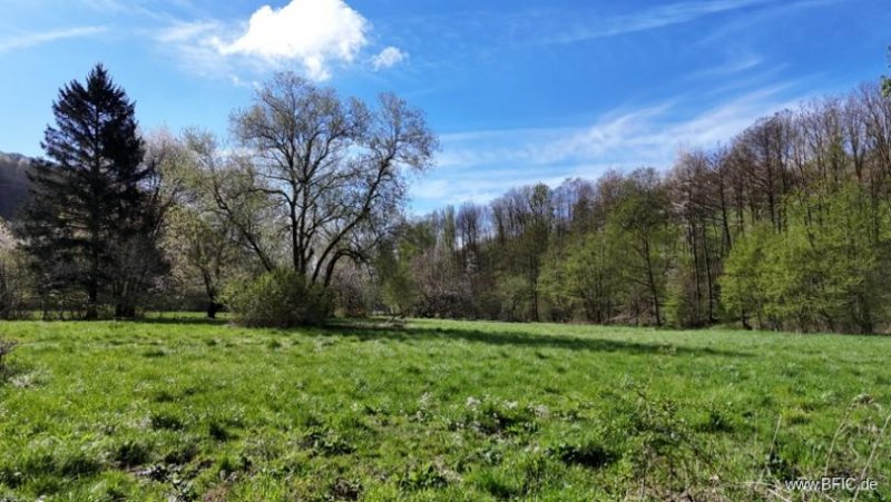 Bad Münstereifel Gelegenheit! Projektierter Campingplatz - Bad Münstereifel Gewerbe kaufen