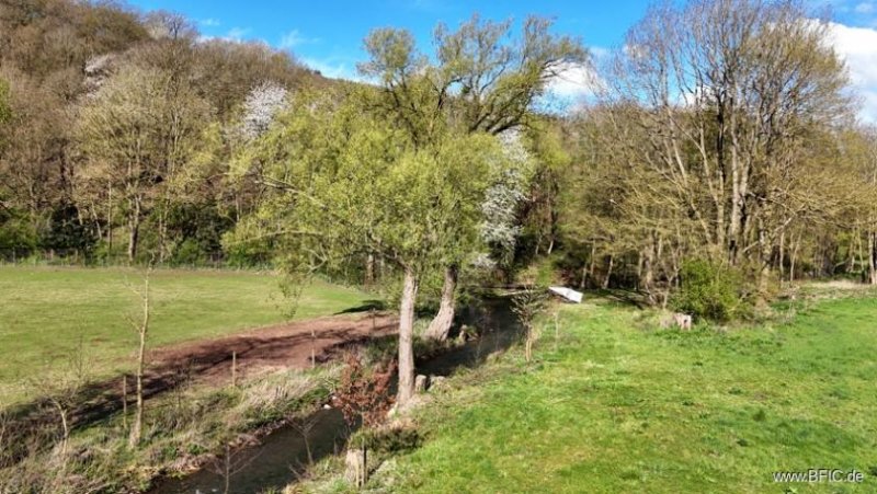 Bad Münstereifel Gelegenheit! Projektierter Campingplatz - Bad Münstereifel Gewerbe kaufen