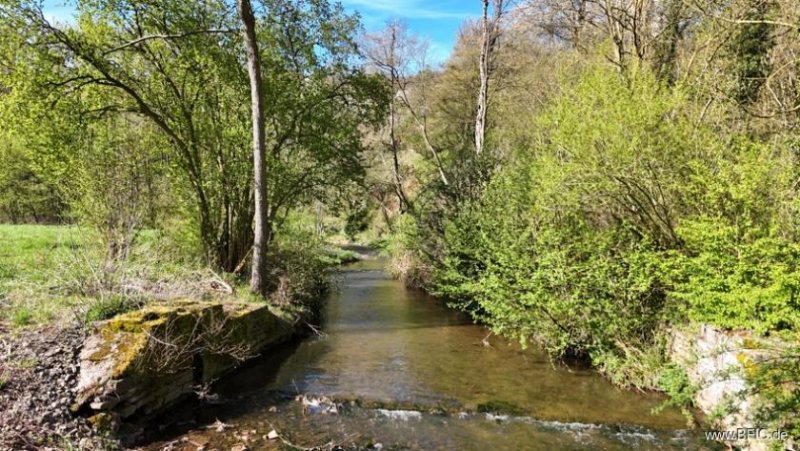 Bad Münstereifel Gelegenheit! Projektierter Campingplatz - Bad Münstereifel Gewerbe kaufen