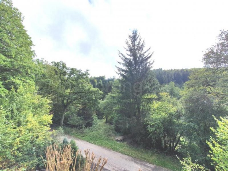 Schleiden ++ BESONDERES EINFAMILIENHAUS + SONNENTERRASSE + GARTEN IN TRAUMLAGE!! ++ Haus kaufen