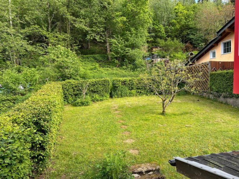 Schleiden Doppelhaushälfte als Ein- oder Zweifamilienhaus direkt am Waldrand des Nationalparks Eifel Haus kaufen