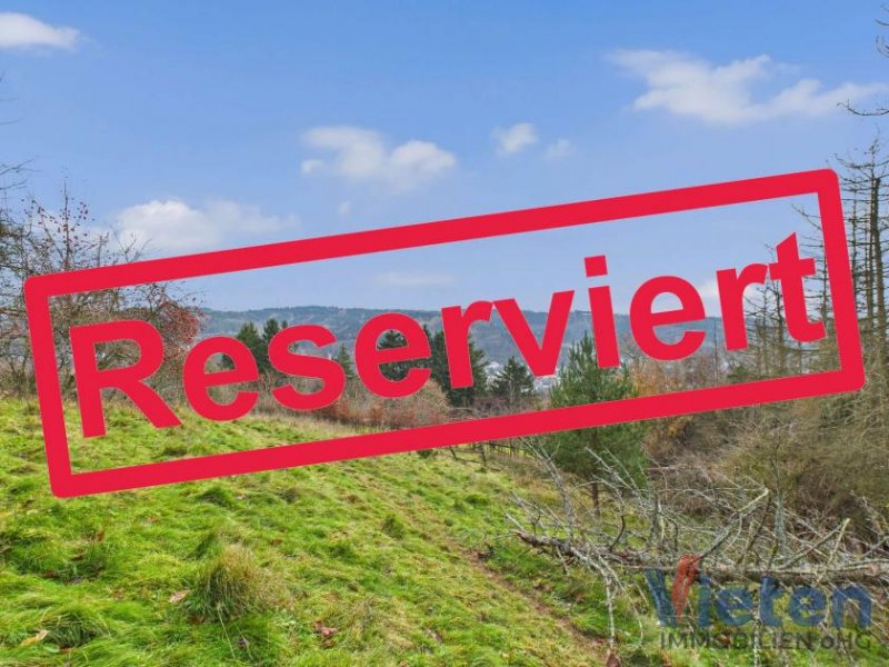 Schleiden Traumhafter Talblick - großes Hanggrundstück mit Abrissobjekt, Wiesen- und Waldfläche in Scheuren Grundstück kaufen