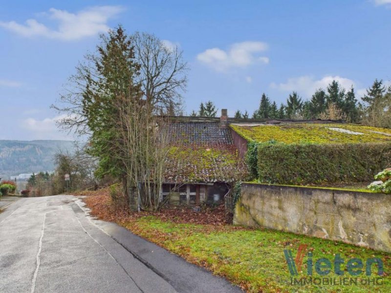 Schleiden Traumhafter Talblick - großes Hanggrundstück mit Abrissobjekt, Wiesen- und Waldfläche in Scheuren Grundstück kaufen