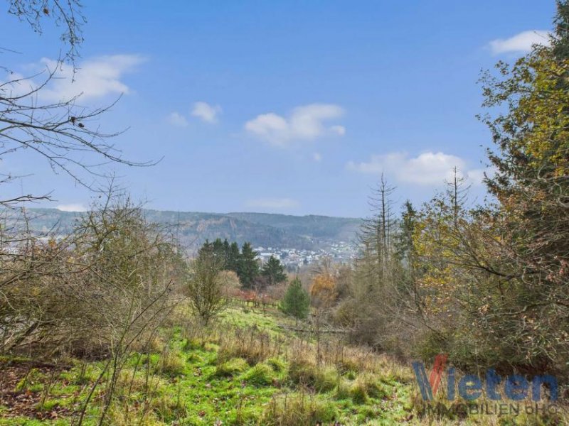 Schleiden Traumhafter Talblick - großes Hanggrundstück mit Abrissobjekt, Wiesen- und Waldfläche in Scheuren Grundstück kaufen