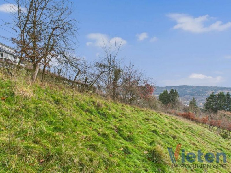 Schleiden Traumhafter Talblick - großes Hanggrundstück mit Abrissobjekt, Wiesen- und Waldfläche in Scheuren Grundstück kaufen
