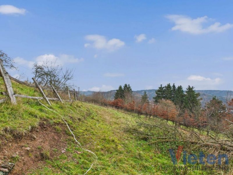 Schleiden Traumhafter Talblick - großes Hanggrundstück mit Abrissobjekt, Wiesen- und Waldfläche in Scheuren Grundstück kaufen