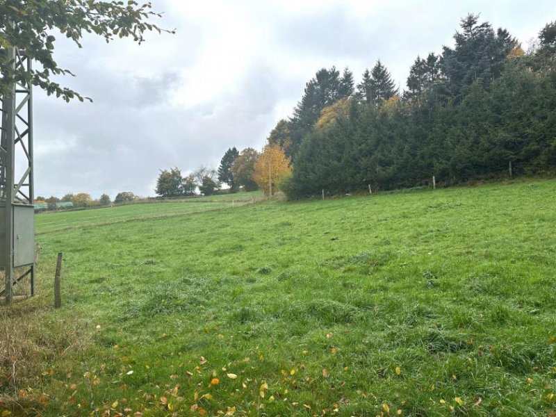 Hellenthal Bauen Sie Ihren Traum vom Haus in der malerischen Eifel Grundstück kaufen
