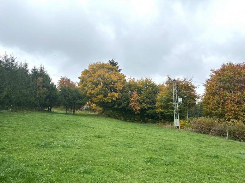 Hellenthal Bauen Sie Ihren Traum vom Haus in der malerischen Eifel Grundstück kaufen