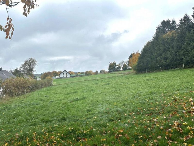 Hellenthal Bauen Sie Ihren Traum vom Haus in der malerischen Eifel Grundstück kaufen