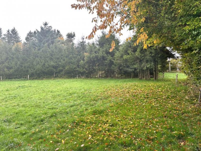 Hellenthal Bauen Sie Ihren Traum vom Haus in der malerischen Eifel Grundstück kaufen