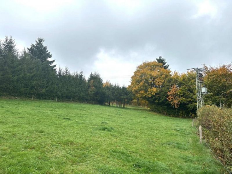 Hellenthal Bauen Sie Ihren Traum vom Haus in der malerischen Eifel Grundstück kaufen