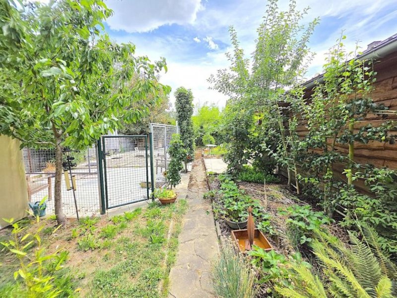 Blankenheim (Kreis Euskirchen) ++ BESONDERES 2-3 FAMILIENHAUS + VIERERCARPORT + BAULAND IN RUHIGER LAGE! ++ Haus kaufen