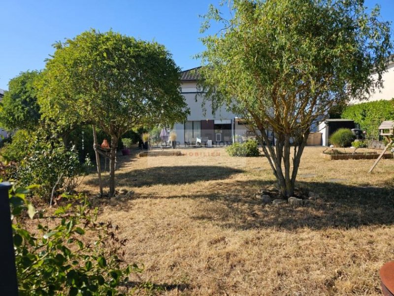 Palzem Traumhaftes Einfamilienhaus in Grenznähe zu Luxemburg zu verkaufen. Haus kaufen