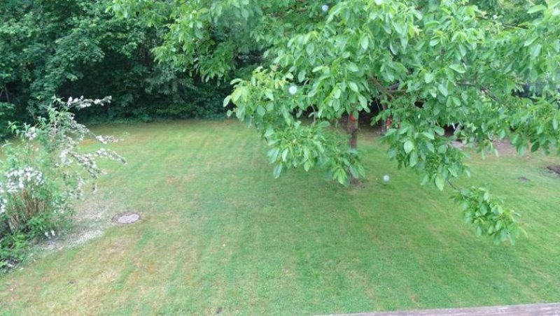 Wiltingen Großes Einfamilienhaus in ruhiger, gepflegter Wohnlage, mit schönem Garten und großem Balkon Haus kaufen