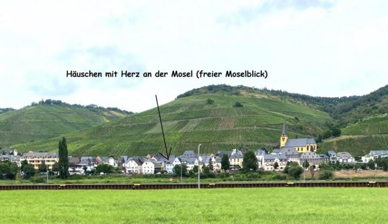 Zeltingen-Rachtig sofort bezugsfertig! Romantisches kleines Haus mit Moselblick und schöner Moselblick-Terrasse Haus kaufen