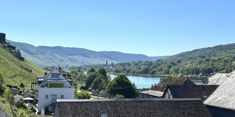 Zeltingen-Rachtig Zwei Wohnhäuser in Zeltigen an der Mosel (hochwasserfrei) mit 233 qm Wohnfläche Haus kaufen