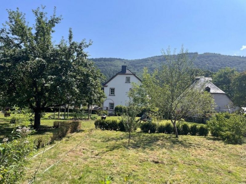 Flußbach Mühlenanwesen im Außenbereich / naturnahes wohnen mit sehr guter Infrastruktur (Eifel-Mosel hochwasserfrei) Haus kaufen