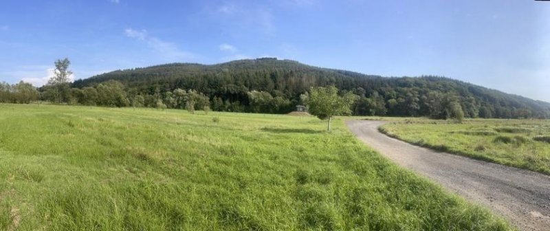 Flußbach Mühlenanwesen im Außenbereich / naturnahes wohnen mit sehr guter Infrastruktur (Eifel-Mosel hochwasserfrei) Haus kaufen