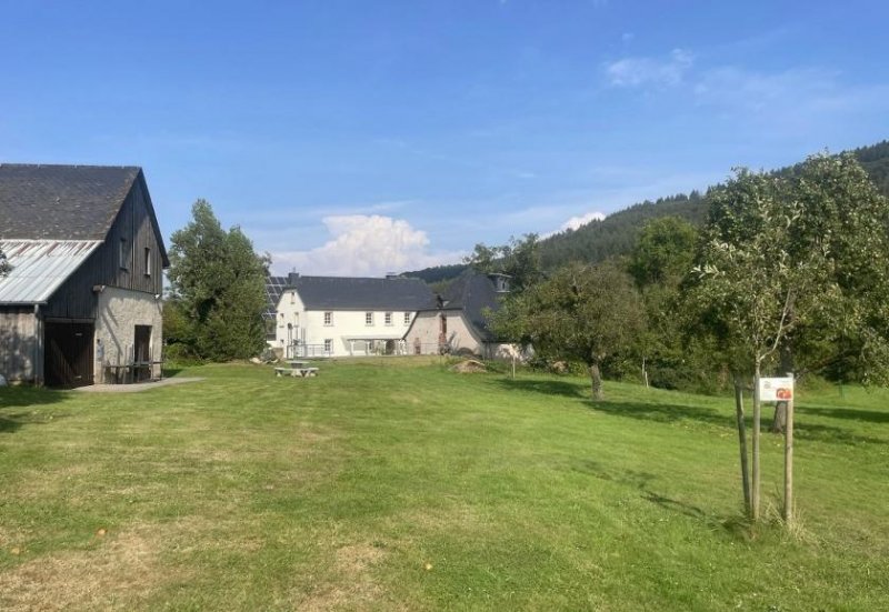 Flußbach Mühlenanwesen im Außenbereich / naturnahes wohnen mit sehr guter Infrastruktur (Eifel-Mosel hochwasserfrei) Haus kaufen